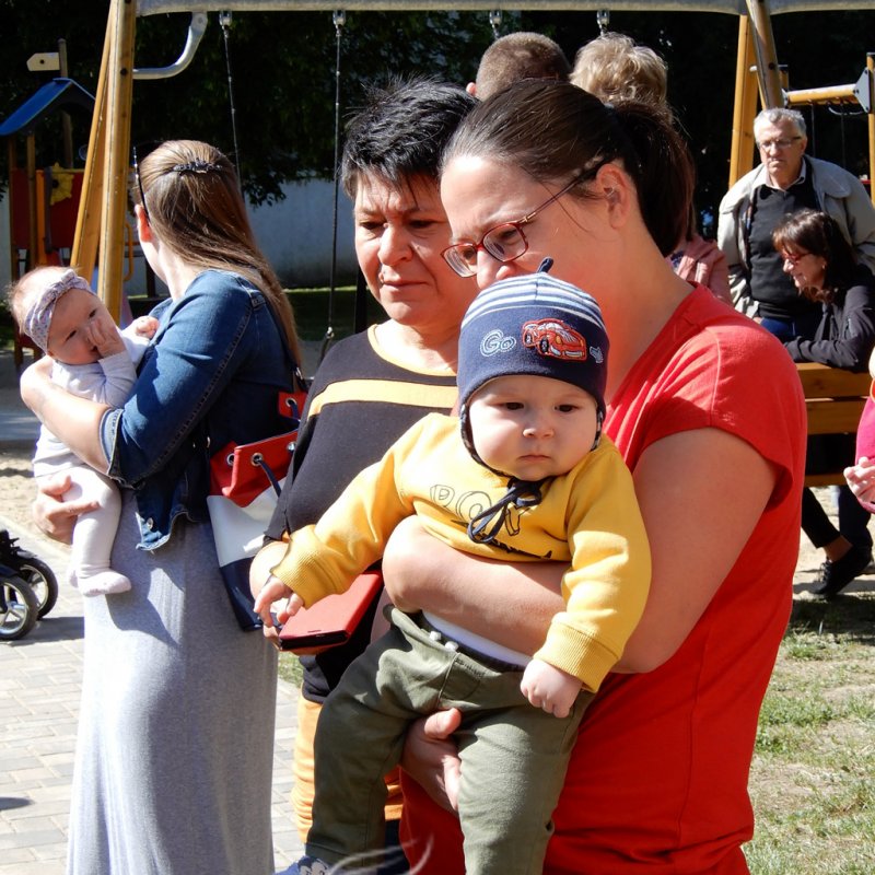 Életfa ültetés a város napján 32